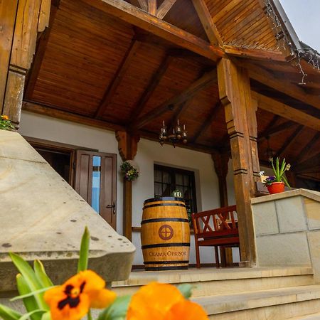 Casa Elena - Resort & Spa Voroneţ Exterior foto
