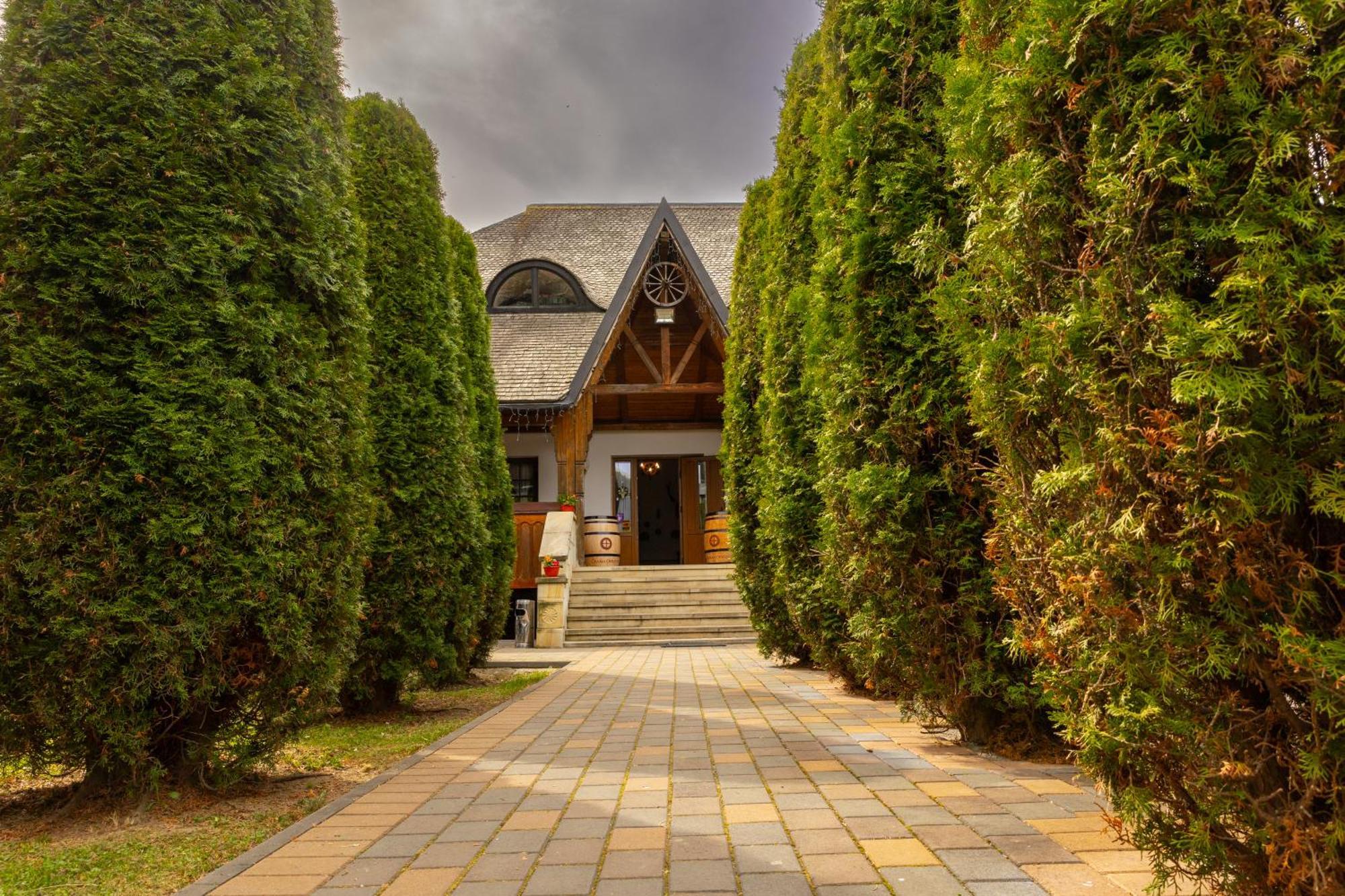 Casa Elena - Resort & Spa Voroneţ Exterior foto