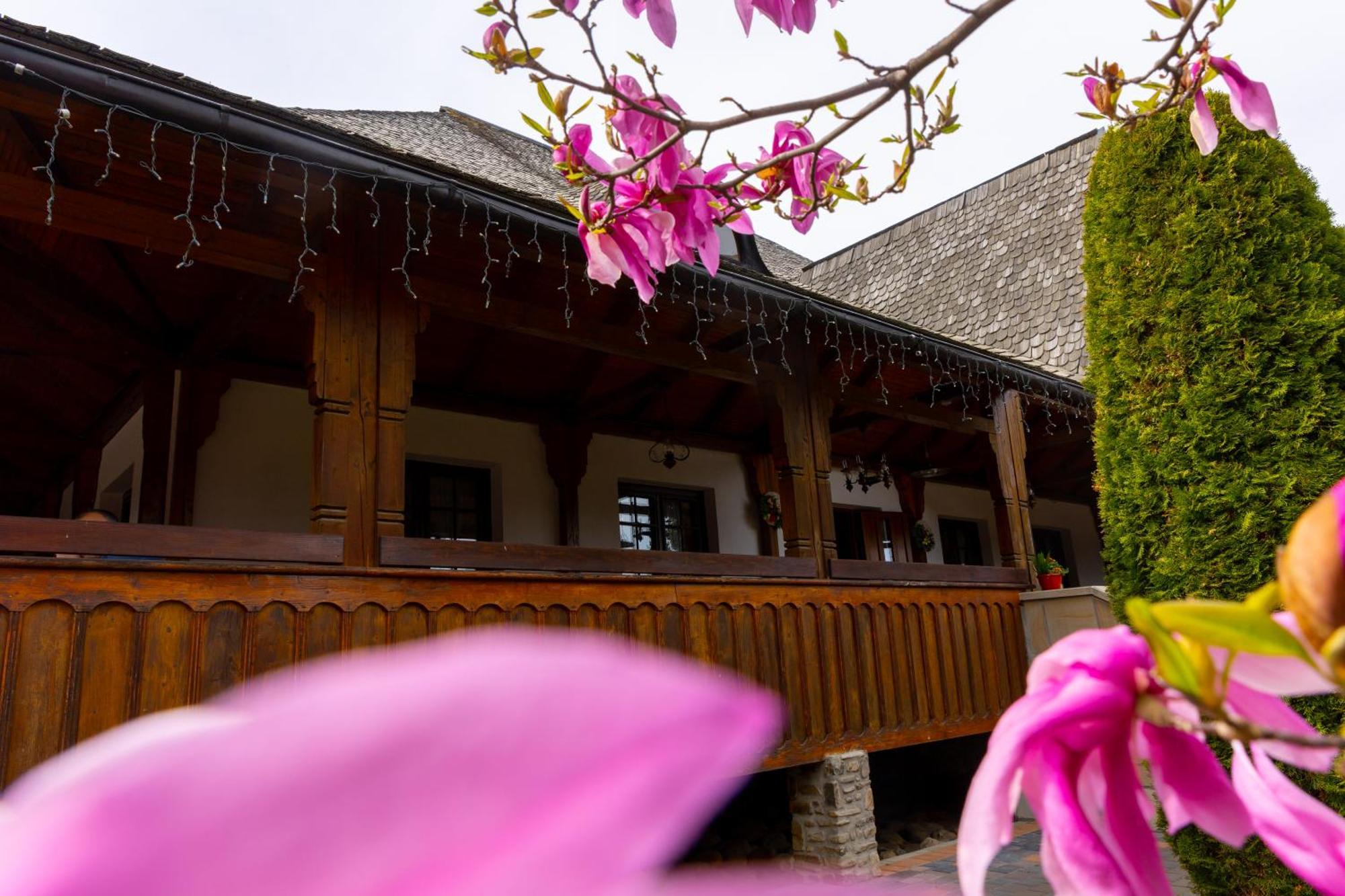 Casa Elena - Resort & Spa Voroneţ Exterior foto